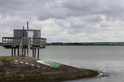 Master Your Backyard Oasis: How to Build a Simple Deck in Your Backyard