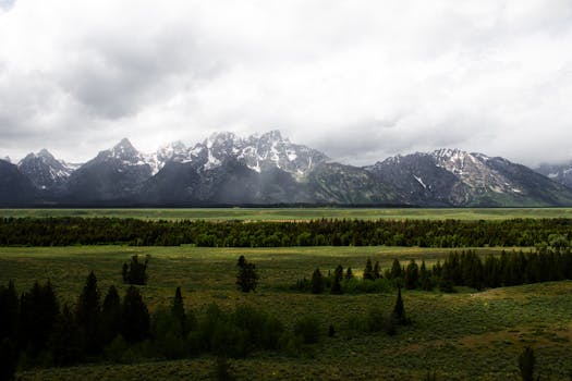 Unlocking Wyoming’s LLC Advantages: Your Essential Guide to a Wyoming LLC Attorney